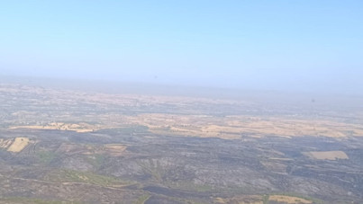 Orman yangını ikinci günde söndü: Beş kişi gözaltında