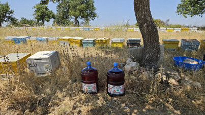 Aydın'da orman yangınlarına karşı ek tedbirler