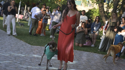 Engelli hayvanlar podyumda yürüdü