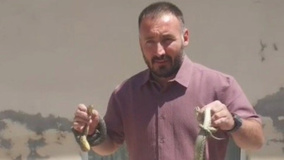 Bilecikli yılan avcısı: Elleriyle yakaladı