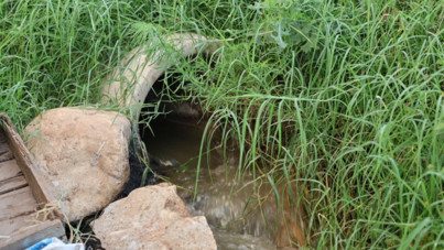 Çevre katliamı: Lağım suyu doğrudan çaya akıyor!