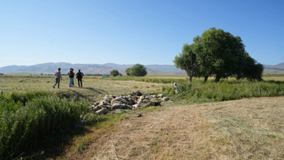 Sürü panik oldu 150 koyun izdihamda öldü