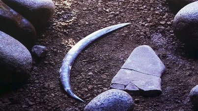 Dünyanın en eski bumerangı: Boşuna döner diye beklemeyin