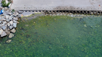 Marmara'da müsilaj istilası: Kirlilik azalmıyor, risk sürüyor