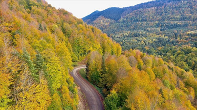 Bir şehirde daha ormana girişler yasaklandı