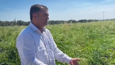 Fiyatlara karşı öfke büyüdü: Kahvede çay içebilmek için 5 kilo satmak gerekiyor