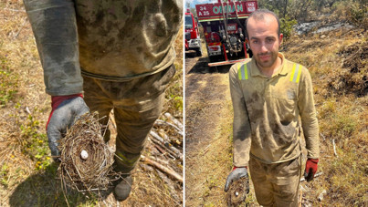 Ormanın sessiz sakinlerini yangının ortasından çekip aldılar