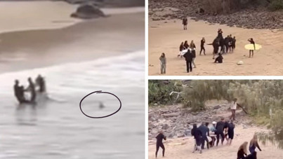 Sahilde dehşet anları: Köpek balığı 16 yaşındaki genci ısırdı