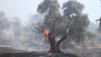 7 bölgede yangınlar kontrol altına alındı
