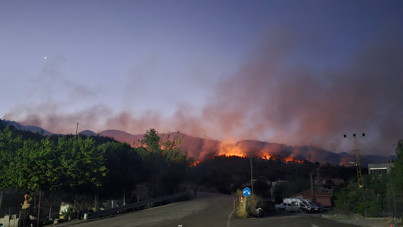 Hatay'daki orman yangını 2'nci gününde