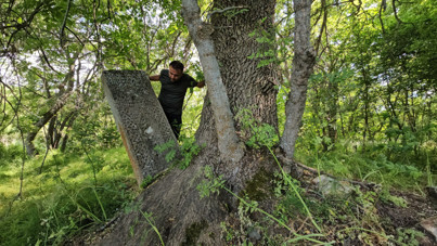 Asırlık mezarlar ağaçların arasında kayboldu