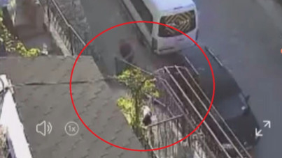 Vicdansızlığın böylesi! Köpeği taş ve sopayla dövdü