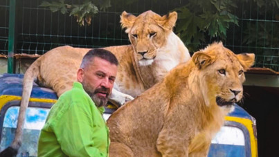 Öldürülen aslanın sahibi ilk kez konuştu: Sosyal bir hayvandı, anlam veremedik