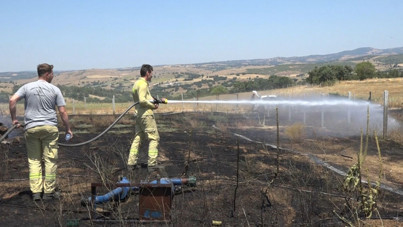 Kırklareli'de anız yangını ormana sıçradı
