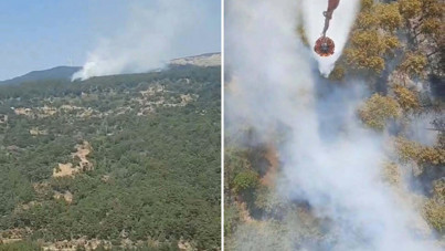 Üç ilde orman yangını