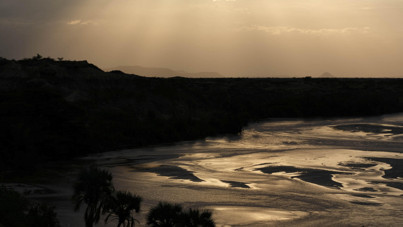 Çığır aşacak keşif: 24 milyon yıllık fosillerden protein çıkarıldı