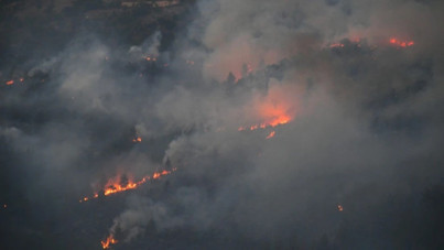 Bursa-Balıkesir sınırında orman yangını