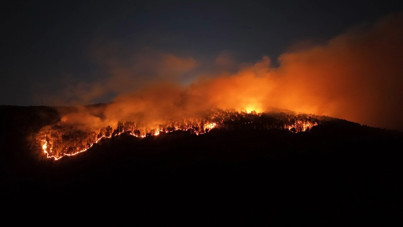 Çankırı'da orman yangını