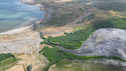 Van Gölü'nde endişe büyüyor: 'Tekneyle geçerdik, artık yürüyerek gidiyoruz'