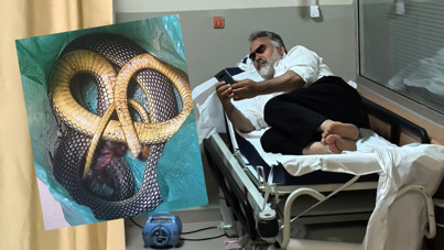 Kendisini ısıran yılanı poşete koyup acile geldi