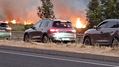 Büyük panik! Yangın büyüdü, alevler otoyola ulaştı