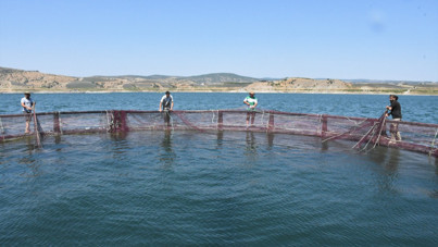 Denizi olmayan ilden dünyaya somon ve alabalık ihraç ediyorlar