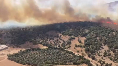 Bursa’da orman yangını