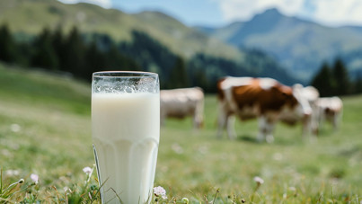 Çiğ süt fiyatına zam geldi