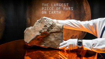 Mars’tan geldi, rekor fiyata satıldı