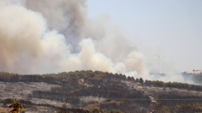 Tekirdağ'daki orman yangını kontrol altına alındı