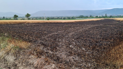 Hasada gün sayıyordu... Ekili araziye düşen yıldırım 8 ton buğdayı kül etti