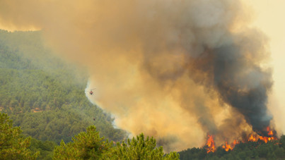 Bu defa Uşak'ın ormanları yandı