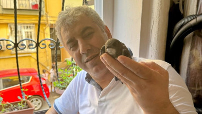 6 yıl önce tedavi etmişti: Ebabil kuşu yeniden penceresine kondu