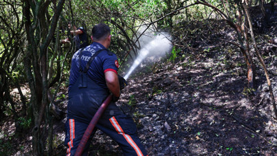 Adapazarı'ndaki orman yangını kontrol altına alındı