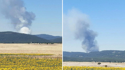 İki ilde orman yangını