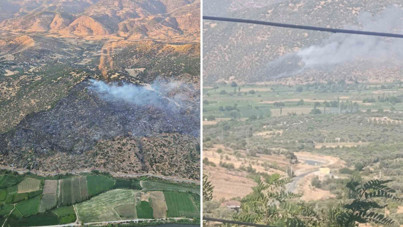 Nazilli yangınında bir gözaltı