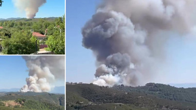 Sakarya alev topuna döndü! Bir yangın daha...