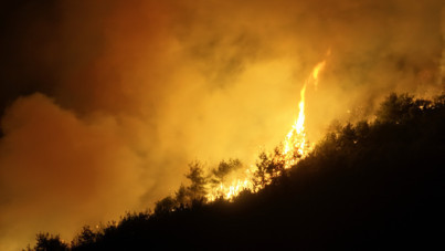 Sakarya günlerdir yanıyor
