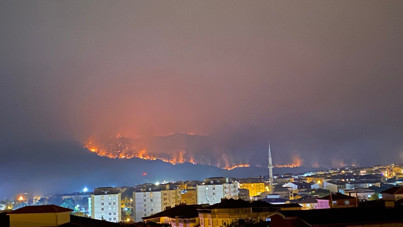 Sakarya'da başlayan yangın, Bilecik'te ilçe merkezine ilerliyor