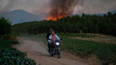 Sakarya'dan Bilecik'e sıçradı... Ormanlar kül oldu