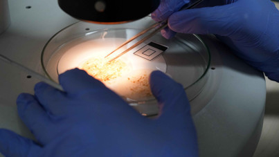 Tehlike büyük: Kalıcı bir tehditle karşı karşıyayız