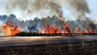 Akyazı yangını sonrası bir kişi tutuklandı