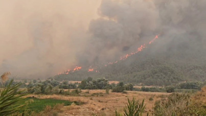 Bilecik yangını 4. gününde de sürüyor...
