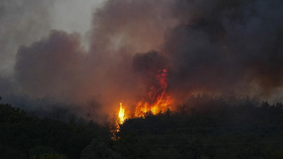 İzmir'de orman yangını çıktı