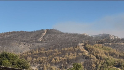 Sakarya'daki orman yangını kısmen kontrol altına alındı