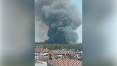 İzmir’de orman yangını