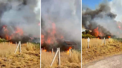 İzmir'deki yangında 8 ev zarar gördü