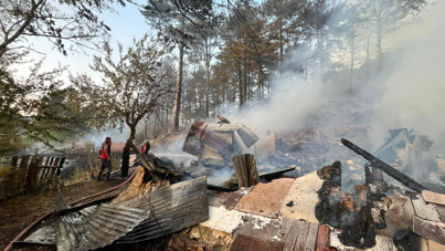 Kümeste çıkan yangın ormana sıçradı: Bolu'da korkutan anlar