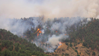 Bir yangın da Kahramanmaraş'ta çıktı