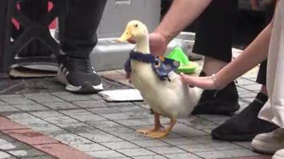 Caddelerin yeni gözdesi: Fular bile takıyor